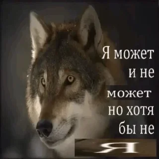 🤔 emoji Больше стиков тут: @stikery4 Telegram sticker 7 of 21