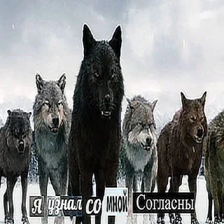 👍 emoji Больше стиков тут: @stikery4 Telegram sticker 3 of 21