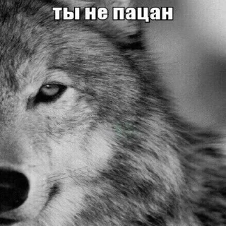 😢 emoji Больше стиков тут: @stikery4 Telegram sticker 9 of 21