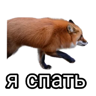 😪 emoji Ася Telegram sticker 12 of 26