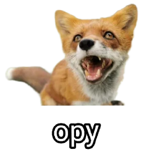 😐 emoji Ася Telegram sticker 23 of 26