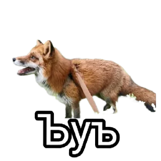 🩸 emoji Ася Telegram sticker 3 of 26