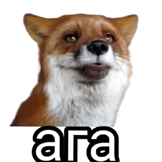 😄 emoji Ася Telegram sticker 10 of 26
