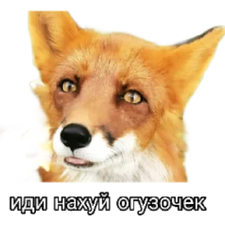 🤢 emoji Ася Telegram sticker 17 of 26