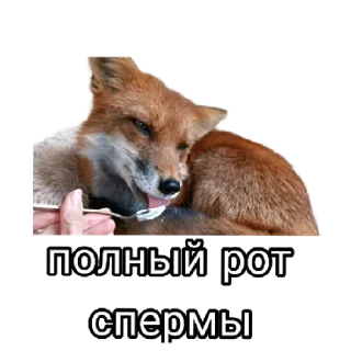 💦 emoji Ася Telegram sticker 18 of 26