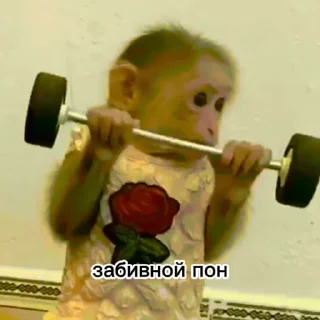 🏋️‍♂️ emoji Больше стикеров 👉🏻 @stickertg4 Telegram sticker 2 of 50
