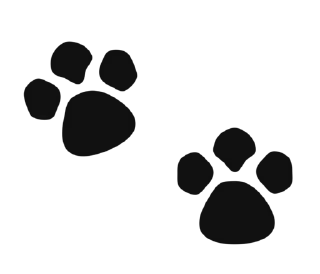 🐾 emoji 0_c Telegram sticker 20 of 54
