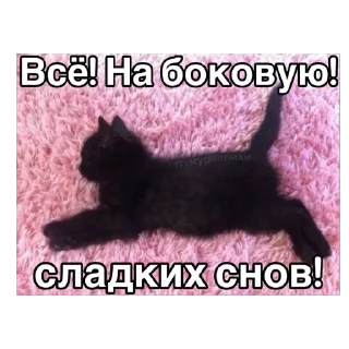 Sticker from Pretty kitty