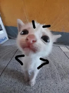 🤯 emoji для важных разговоров Telegram sticker 19 of 19
