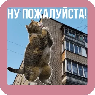 🥺 emoji Подпишись на @mesta22 Telegram sticker 15 of 40