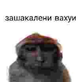 Sticker from хуйня..