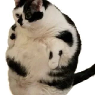 😶 emoji Стикеры Люси 2.0 Telegram sticker 21 of 39