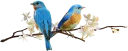 🎣 emoji BIRD Telegram sticker 12 of 15
