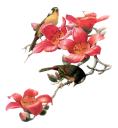Sticker from BIRD