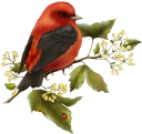 Sticker from BIRD