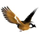Sticker from BIRD