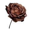 🌹 emoji beige & brown by @literalina Telegram sticker 13 of 40