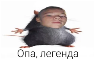 🐵 emoji Есть Telegram sticker 22 of 47