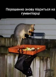 🦝 emoji Думки (не)одного зелебота Telegram sticker 11 of 12