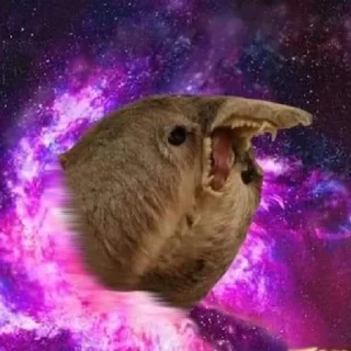 💥 emoji Мемный ваха Telegram sticker 14 of 50