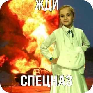 🫥 emoji Соня Печенег Telegram sticker 9 of 37