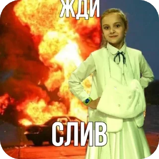 🫥 emoji Соня Печенег Telegram sticker 13 of 37