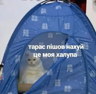 Sticker from Моє то не твоє