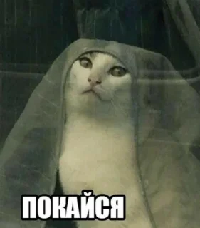 😠 emoji Моє то не твоє Telegram sticker 20 of 50