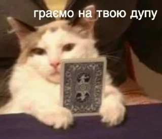 😑 emoji Моє то не твоє Telegram sticker 24 of 50