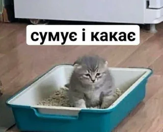 🥺 emoji Моє то не твоє Telegram sticker 21 of 50