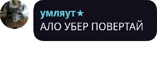 🌟 emoji бабська січ не дрочить на одни pack by @QuotLyBot Telegram sticker 20 of 119