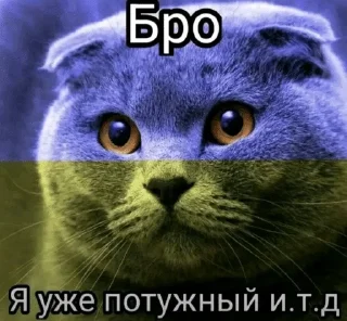 🌟 emoji Бро и тд. Telegram sticker 22 of 26