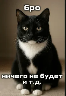 🌟 emoji Бро и тд. Telegram sticker 13 of 26
