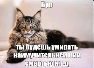 🌟 emoji Бро и тд. Telegram sticker 6 of 26