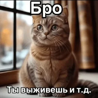 🌟 emoji Бро и тд. Telegram sticker 4 of 26