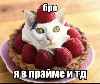 🌟 emoji Бро и тд. Telegram sticker 11 of 26