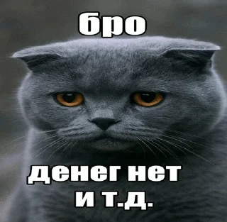 🌟 emoji Бро и тд. Telegram sticker 8 of 26
