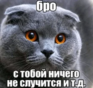 🌟 emoji Бро и тд. Telegram sticker 9 of 26