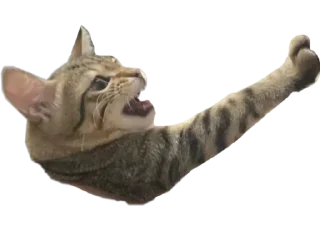 😡 emoji Мая Telegram sticker 13 of 28
