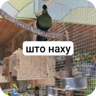 Sticker from Что то @MoiStikiBot