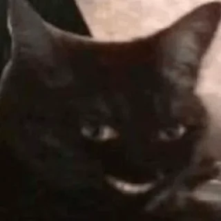 Sticker from Котя