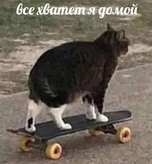 🤭 emoji Слова паразиты Telegram sticker 20 of 33