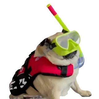🏊 emoji @pug_leonid Telegram sticker 20 of 34