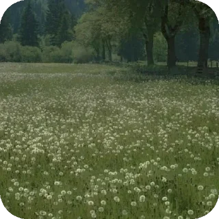 🏞 emoji Коко 🎧 Telegram sticker 10 of 17
