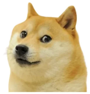 🐶 emoji Crypto 🚀 Pack by @trendhunt_bot Telegram sticker 10 of 13