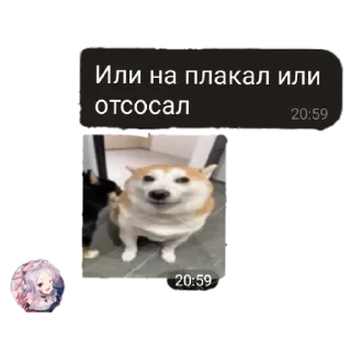 🔥 emoji Ол мемы by Nikitta Kulikov Telegram sticker 10 of 40