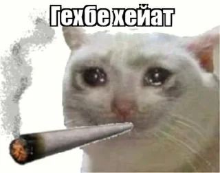 🤔 emoji @movlamovsaid @DTOUserBot Paketi 1 Telegram sticker 7 of 30