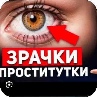 👁 emoji Ээээээ бля зобыл @GDZcyshe Telegram sticker 21 of 56