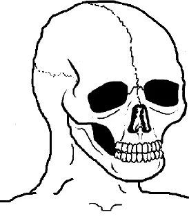 💀 emoji Nocturnal Telegram sticker 15 of 18