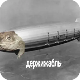 Sticker from Держи жабу by@ceaser44